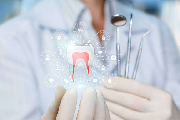 Best Traditional Braces  in South Haven, IN